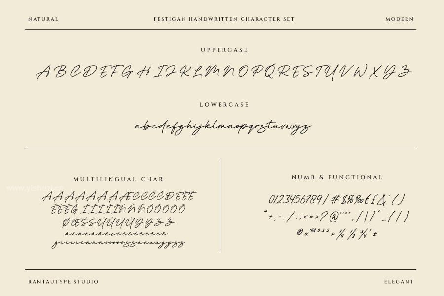 ysz-204405 Festigan-Business-Handwritten-Fontz12.jpg