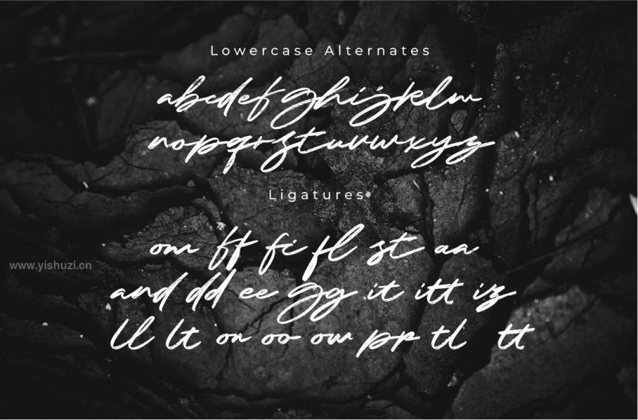 ysz-204417 Rizanico---Handwrittenz3.jpg