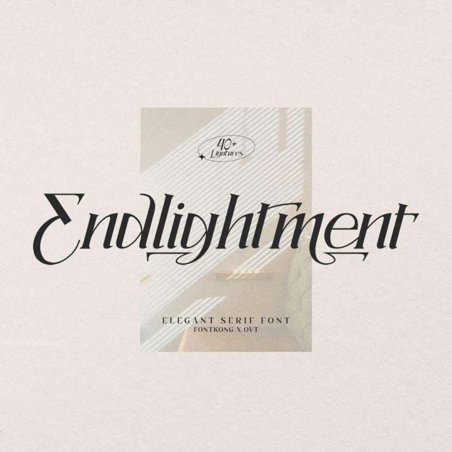 ysz-204571 Endlightment---Elegant-Serif-Fontz7.jpg