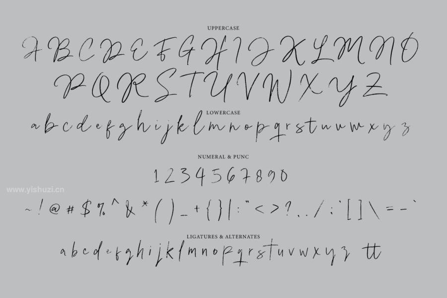 ysz-204574 Pigane---Casual-Handwrittenz4.jpg