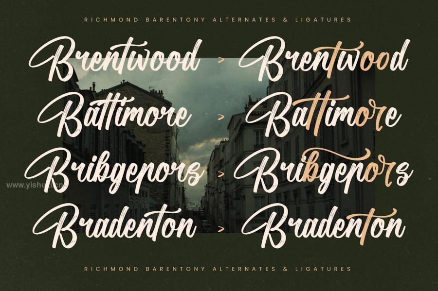 ysz-204595 Richmond-Barentony-Modern-Handbrush-Scriptz14.jpg