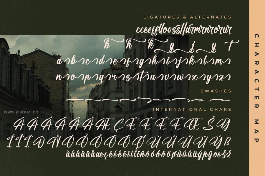 ysz-204595 Richmond-Barentony-Modern-Handbrush-Scriptz8.jpg