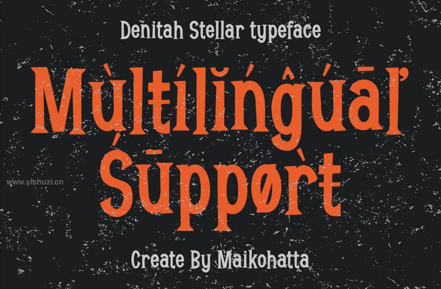 ysz-204628 Denitah-Stellar---Decorative-Typefacez3.jpg