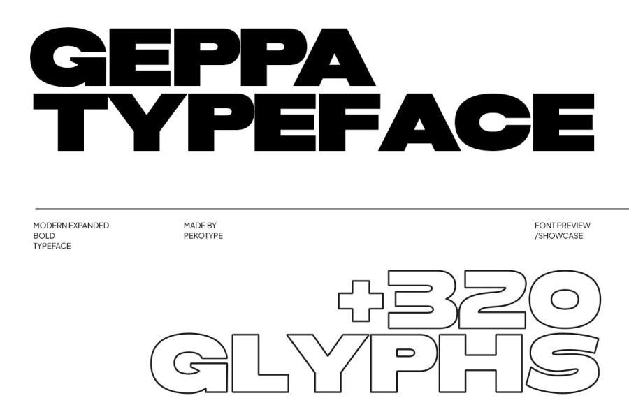 ysz-204642 Geppa---Expanded-Sansz4.jpg