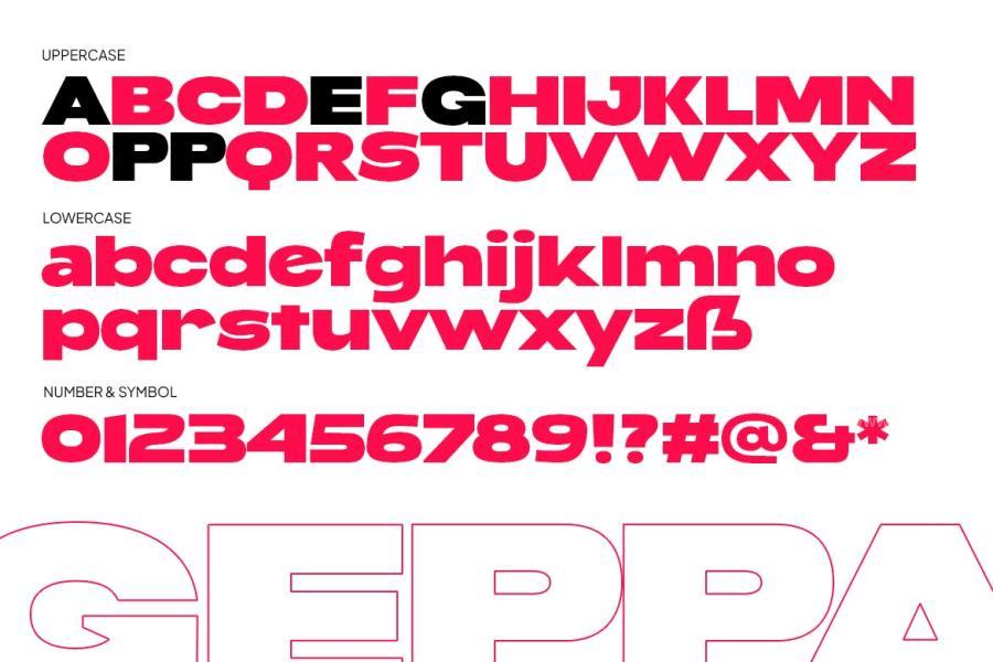 ysz-204642 Geppa---Expanded-Sansz6.jpg