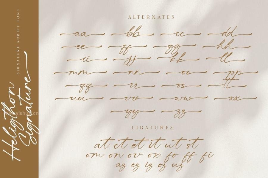 ysz-204656 Heligthon---Signature-Script-Fontz5.jpg