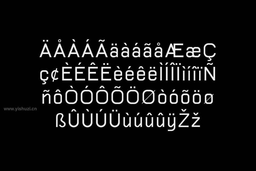 ysz-204663 Folkmote-Neue-Sans-Serif-Familyz11.jpg