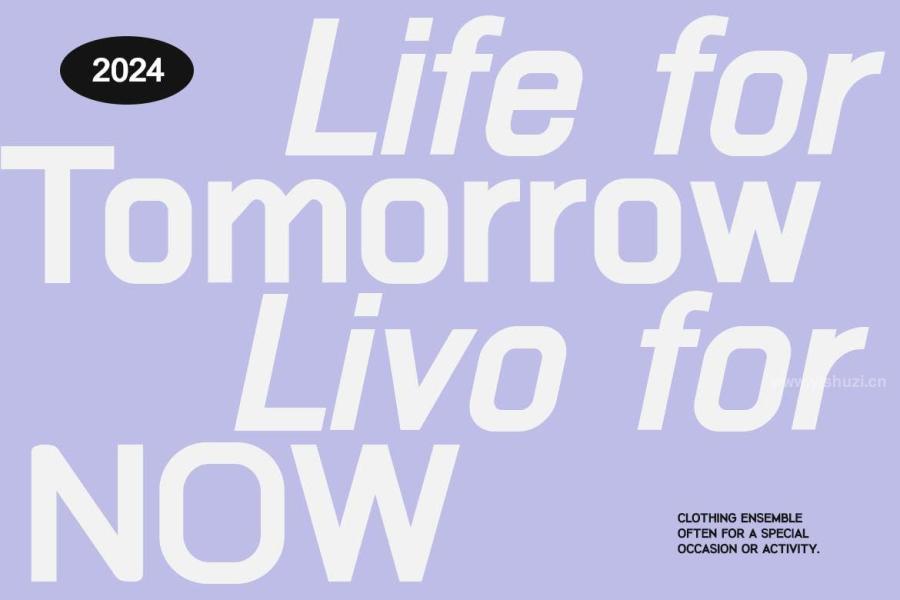 ysz-204663 Folkmote-Neue-Sans-Serif-Familyz9.jpg
