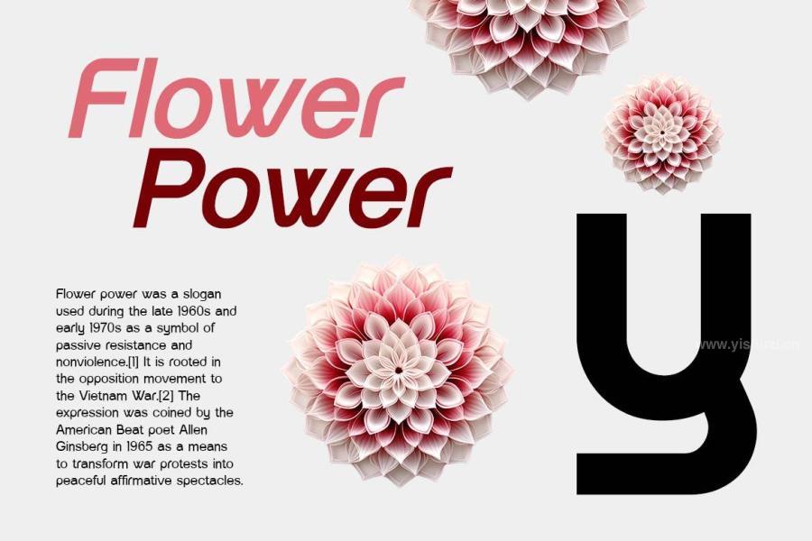 ysz-204664 Forehands-Rounded-Elegant-Sans-Serif-Familyz14.jpg