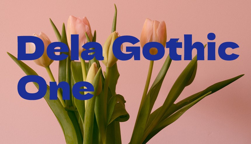 Dela Gothic One｜力量感十足的哥特式的免费可商用字体